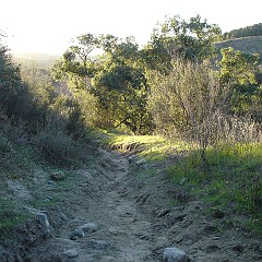 Santa Margarita River middle trail